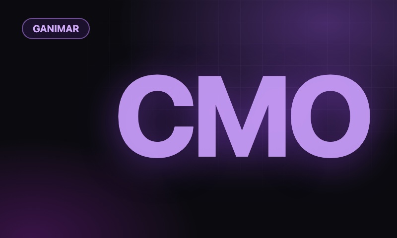CMO-аутсорс / нейро-отдел маркетинга